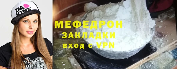 дживик Ельня