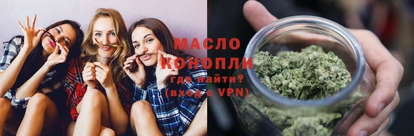 дживик Ельня