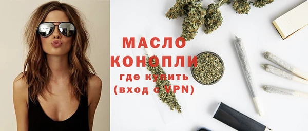 дживик Ельня