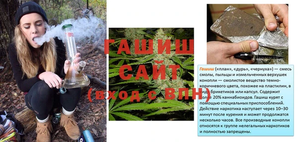 дживик Ельня