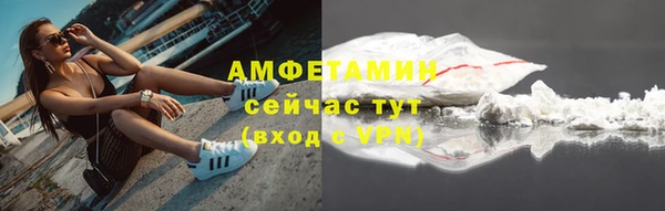 дживик Ельня