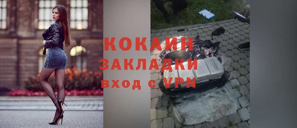 дживик Ельня