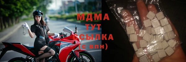 гидра Елизово