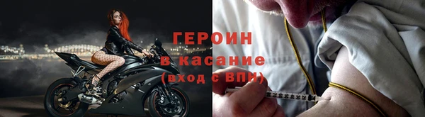 гидра Елизово