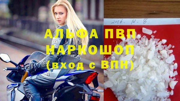 гидра Елизово