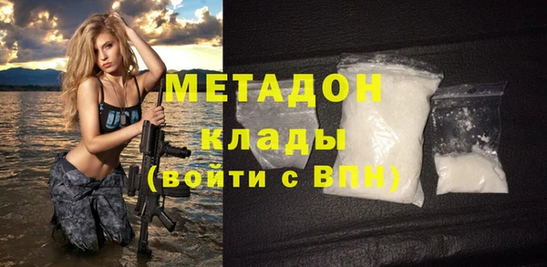 гидра Елизово