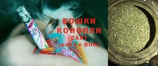 гидра Елизово