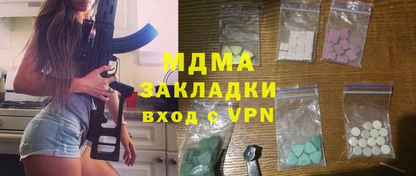 дживик Ельня