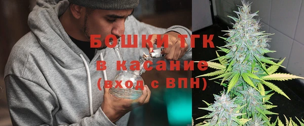 гидра Елизово