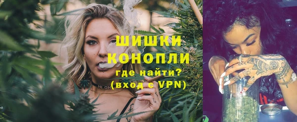 гидра Елизово