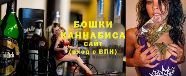 дживик Ельня