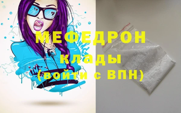 дживик Ельня