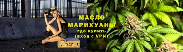 дживик Ельня