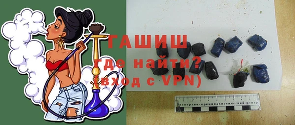 дживик Ельня