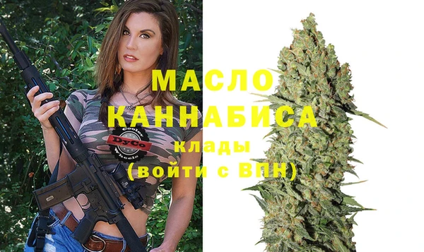 дживик Ельня