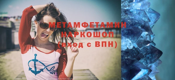 гидра Елизово