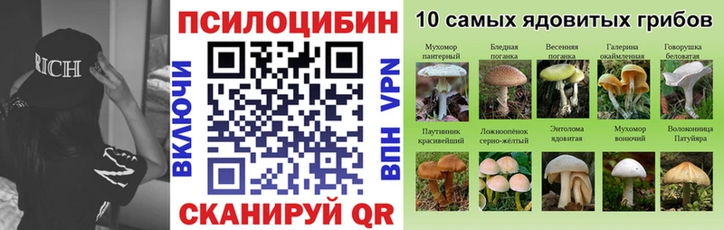 Купить закладки  Спасск-Рязанский  Галлюциногенные грибы Magic Shrooms 
